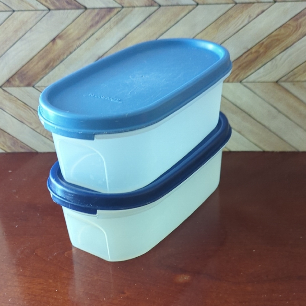 Vintage Tupperware Modular Mates Blue Food Storage Containers- Set Of 2